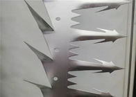 Große anti- Aufstiegs-Stahlwand nagelt Vogel, dauerhafte Metallwand-Spitzen fest