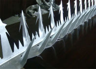 Spitzen des Entwurfs der Zaun-Kobra-Wand-Sicherheits-Spitzen-Belags-Rasiermesser-Spitzen-11cm