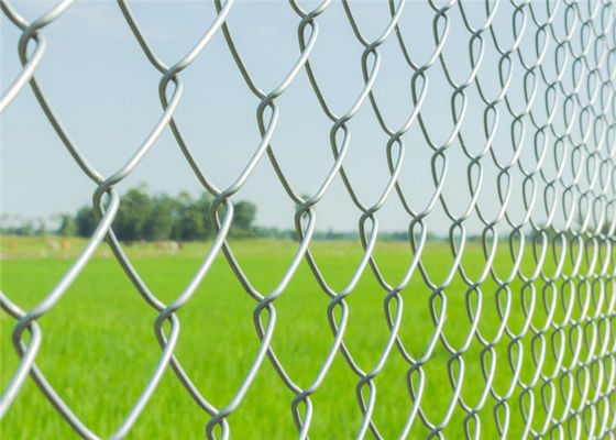 Galvanisierter Hochleistungsstahl 1.8m x 25m Kettenglied, das Masche einzäunt